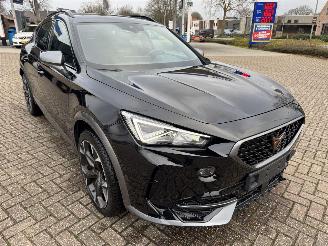 Cupra Formentor 2.0 TSI  VZ 245 Pk DSG picture 6