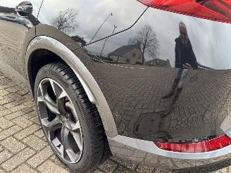 Cupra Formentor 2.0 TSI  VZ 245 Pk DSG picture 18