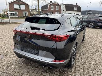 Cupra Formentor 2.0 TSI  VZ 245 Pk DSG picture 17