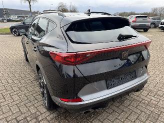 Cupra Formentor 2.0 TSI  VZ 245 Pk DSG picture 15