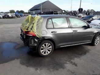 Volkswagen Golf Golf VII (AUA), Hatchback, 2012 / 2021 1.0 TSI 12V BlueMotion picture 11