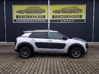 Citroën C4 cactus 1.2 PureTech Shine picture 4