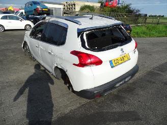 Peugeot 2008 1.2 12v picture 2