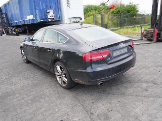 Audi A5 2.7 TDi picture 2