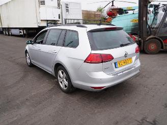Volkswagen Golf variant 1.6 TDi picture 2