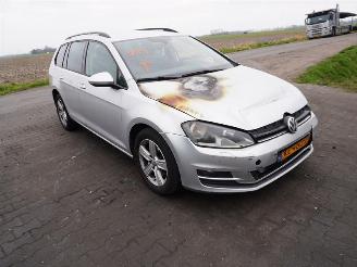 Volkswagen Golf variant 1.6 TDi picture 4