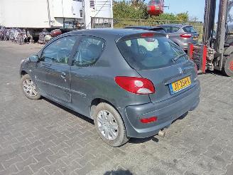 Peugeot 206+ 1.4 picture 2
