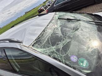 Skoda Octavia 1.0 TSI 12V picture 5