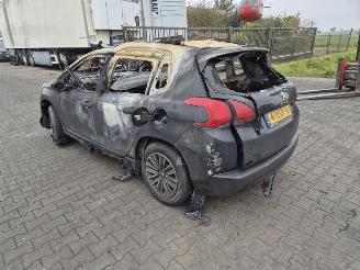 Peugeot 2008 1.2 12V picture 2