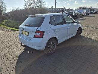 Vrakbiler auto Skoda Fabia 1.2 TSi 2017/7