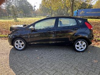 Ford Fiesta  picture 2