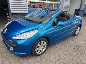 Peugeot 207 1.6 Cabrio picture 10