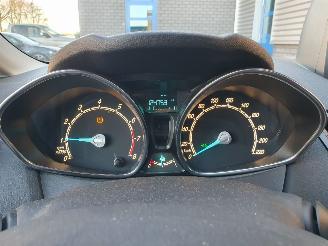 Ford Fiesta 1.0 EcoBoost Titanium picture 16