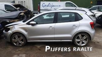 Volkswagen Polo Polo V (6R), Hatchback, 2009 / 2017 1.4 16V picture 1
