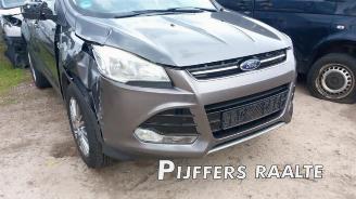 Ford Kuga Kuga II (DM2), SUV, 2012 2.0 TDCi 16V 140 picture 2