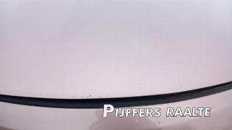 Suzuki Alto Alto, Hatchback 5-drs, 2009 1.0 12V picture 14