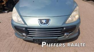 Peugeot 307 307 SW (3H), Combi, 2002 / 2008 1.6 16V picture 3