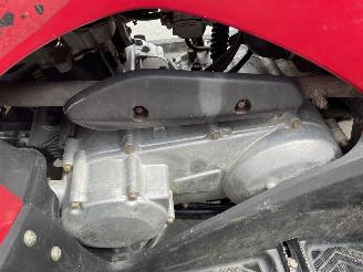 Kawasaki KVF 300  picture 9