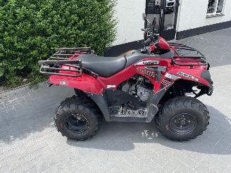 Kawasaki KVF 300  picture 2