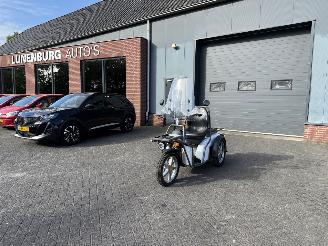 krockskadad bil overig Overige  Kyburz DXP 5.0  825 EURO EX BTW 2020/6