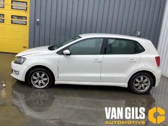 Volkswagen Polo Polo V (6R), Hatchback, 2009 / 2017 1.2 TDI 12V BlueMotion picture 1