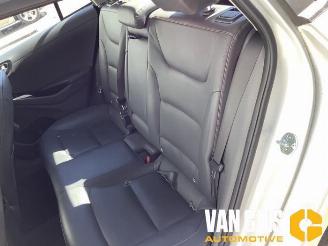Hyundai Ioniq Ioniq, Liftback, 2016 / 2022 EV picture 14