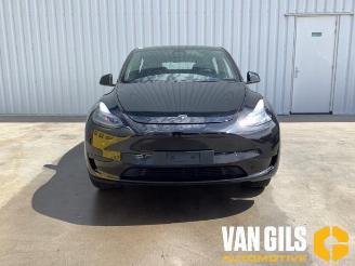 Tesla Model Y Model Y (5YJY), SUV, 2019 / 2025 RWD picture 2