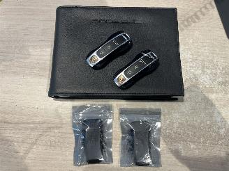 Porsche Panamera 2.9 4 E-Hybrid Platinum Edition picture 34