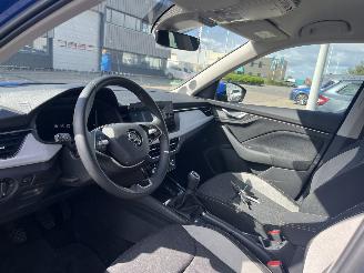 Skoda Kamiq 1.0 TSI Business Edition picture 14