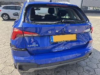 Skoda Kamiq 1.0 TSI Business Edition picture 9
