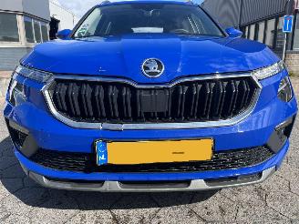 Skoda Kamiq 1.0 TSI Business Edition picture 11