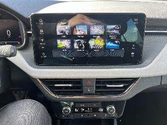 Skoda Kamiq 1.0 TSI Business Edition picture 19
