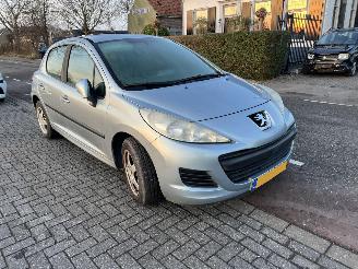 Peugeot 207 1.4-16V picture 1