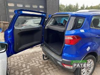 Ford EcoSport EcoSport (JK8), SUV, 2013 1.0 EcoBoost 12V 125 picture 9