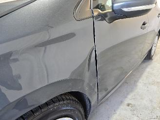 Peugeot 208 1.2 PureT. Blue Lion picture 10