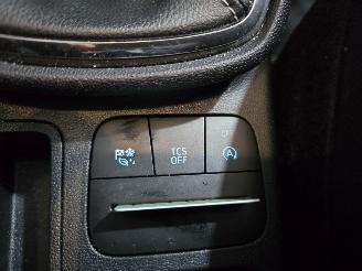 Ford Fiesta 1.0 EcoBoost Hybrid Titanium picture 33
