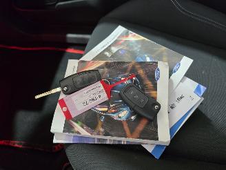 Ford Fiesta 1.0 EcoBoost Hot Hatch picture 31