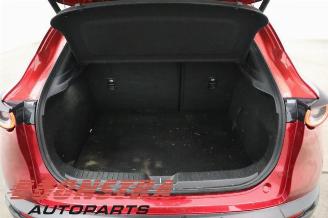 Mazda CX-30 CX-30 (DM), SUV, 2019 2.0 e-SkyActiv-X 181 M Hybrid 16V picture 21