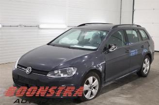 Volkswagen Golf Golf VII Variant (AUVV), Combi, 2013 / 2021 1.4 TGI 16V picture 1