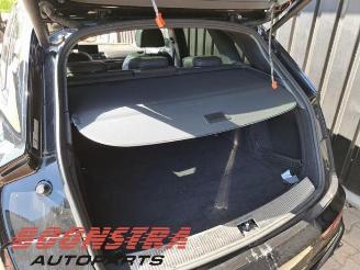 Audi SQ5 SQ5 (FYB/FYG), SUV, 2016 3.0 TFSI V6 24V picture 21