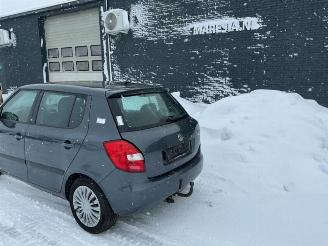 Skoda Fabia Fabia II (5J), Hatchback 5-drs, 2006 / 2014 1.4 TDI 80 picture 5