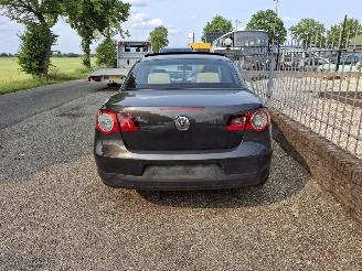 Volkswagen Eos 1.4 picture 5