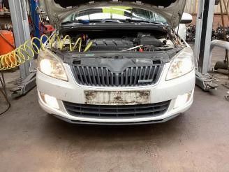 Skoda Fabia Fabia II Combi, Combi 5-drs, 2007 / 2015 1.2 TDI 12V Greenline picture 13