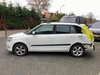 Skoda Fabia Fabia II Combi, Combi 5-drs, 2007 / 2015 1.2 TDI 12V Greenline picture 8