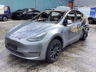 Vrakbiler auto Tesla Model Y Model Y (5YJY), SUV, 2019 Long Range,Performance 2023/9