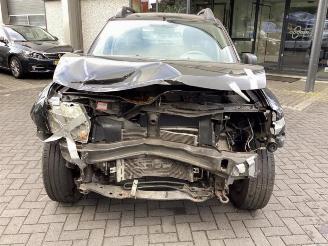 Dacia Duster Duster (HS), SUV, 2009 / 2018 1.6 16V picture 2