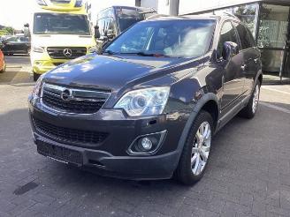 Vrakbiler auto Opel Antara Antara, SUV, 2006 2.2 CDTI 16V 4x4 2013/7