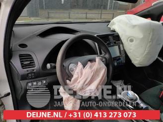 Nissan Leaf Leaf (ZE0), Hatchback, 2010 / 2017 Leaf picture 14
