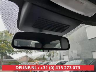 Nissan Juke Juke (F16), SUV, 2019 1.0 DIG-T 117 12V picture 31