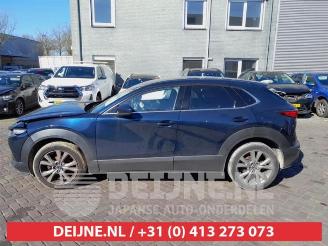 Mazda CX-30 CX-30 (DM), SUV, 2019 2.0 e-SkyActiv-G 122 16V picture 4